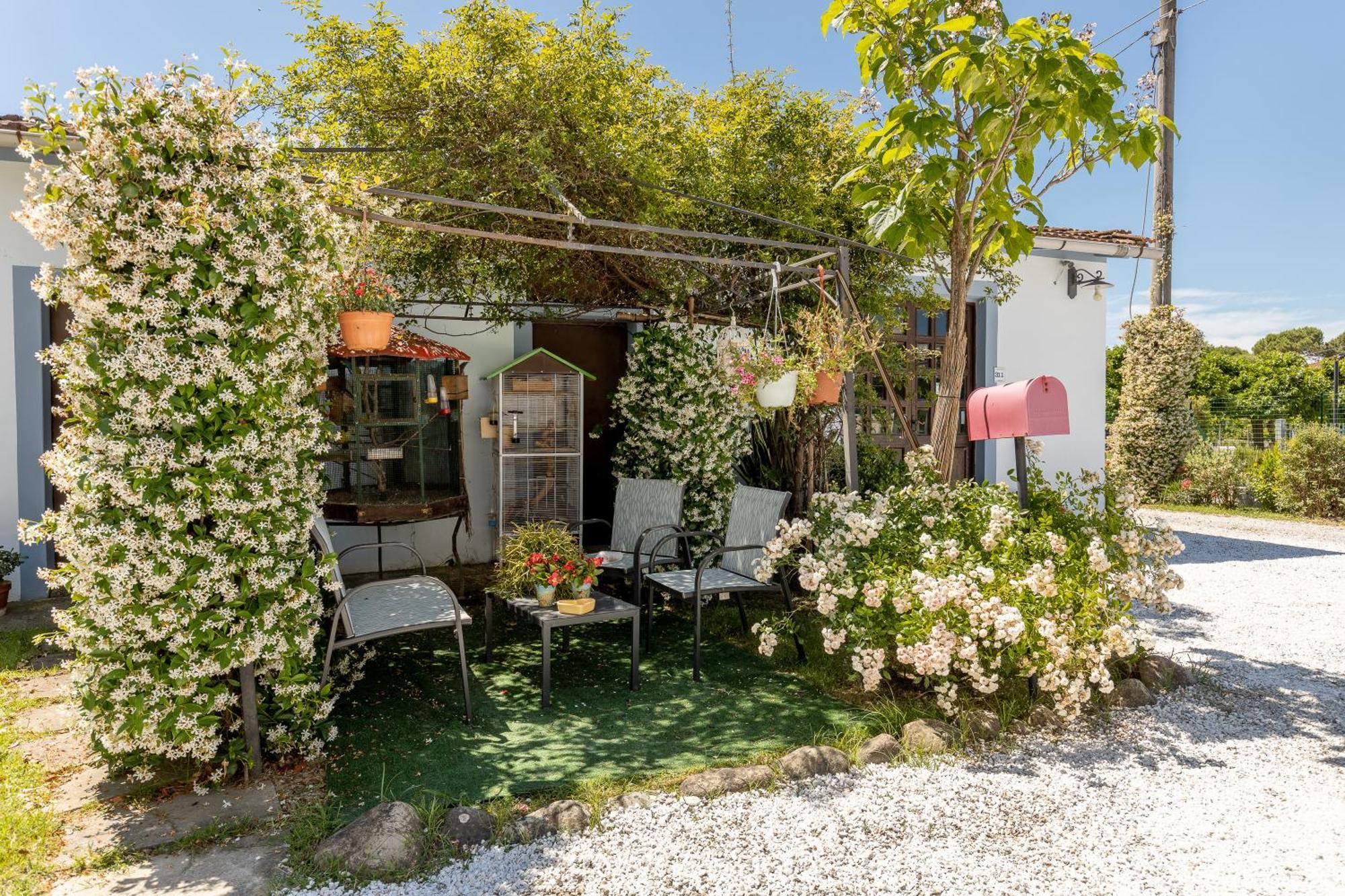 B&B Il Ramaiolo Santa Maria a Monte Eksteriør billede