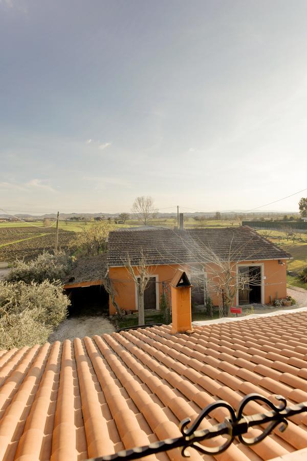 B&B Il Ramaiolo Santa Maria a Monte Eksteriør billede